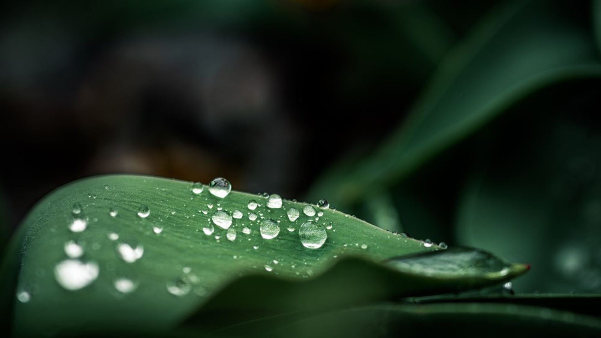 Mycronic joins United Nations Global Compact