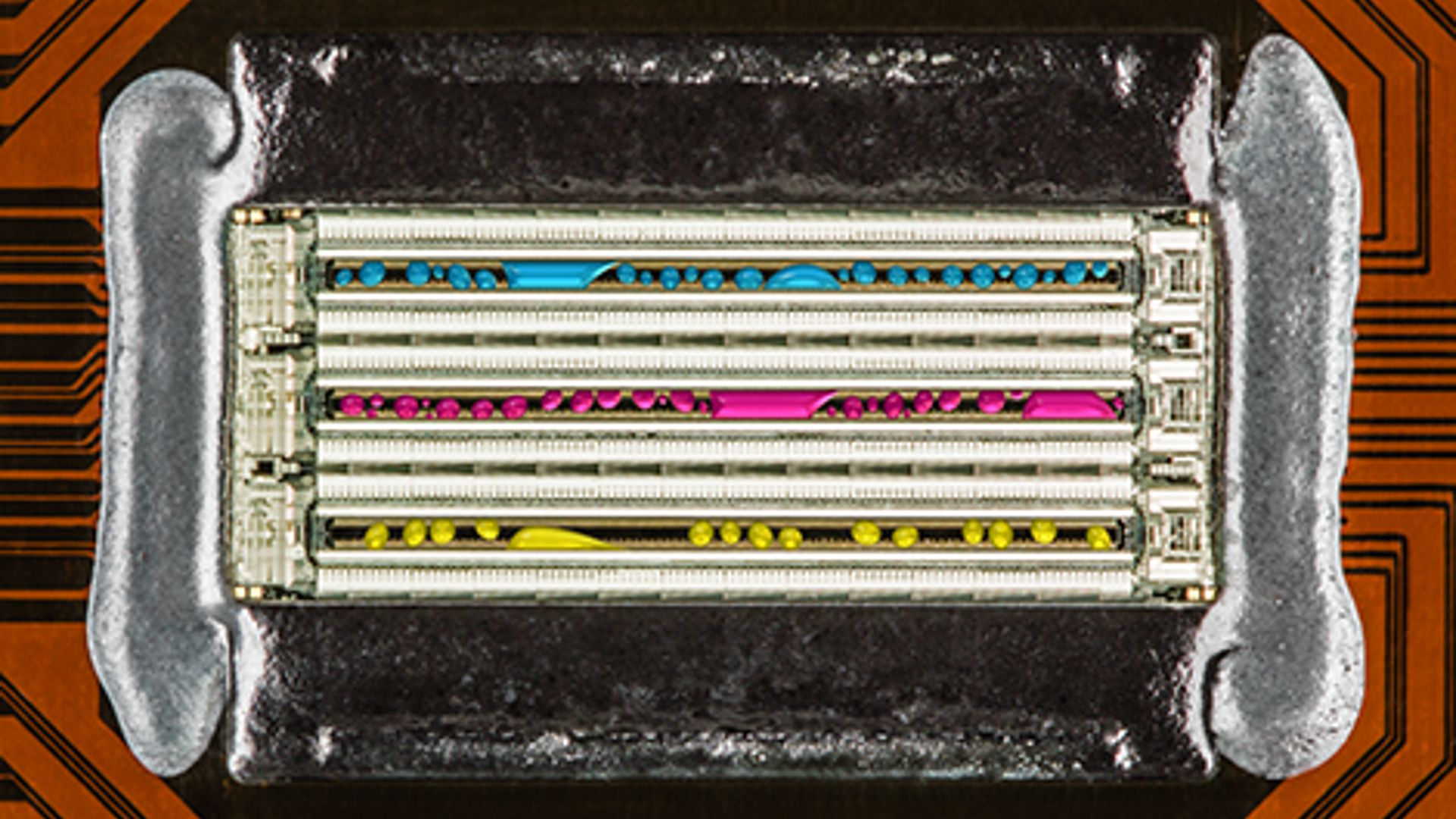 Keep up to date with our most recent press releases.