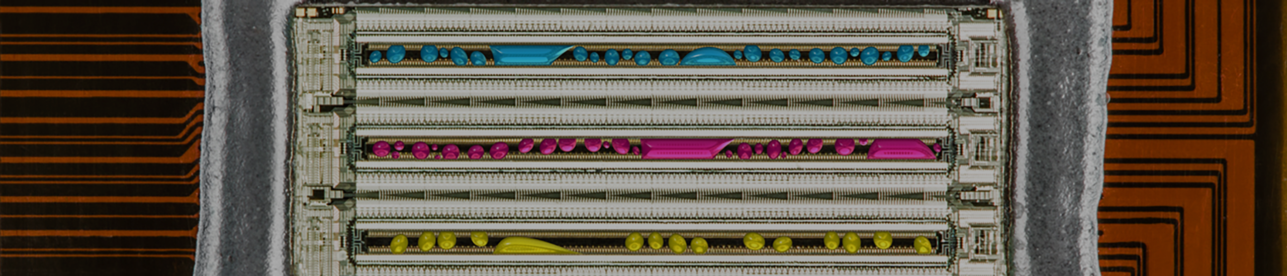 All press releases listed